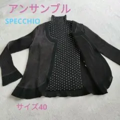SPECCHIO（スペッチオ）アンサンブル カーディガン＆水玉柄半袖カットソー