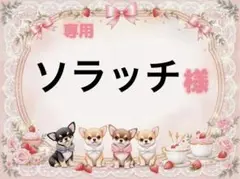 専用