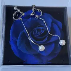 Item thumbnail for item 3b4adcce-cf48-4660-8f4f-85f95c6e5f44