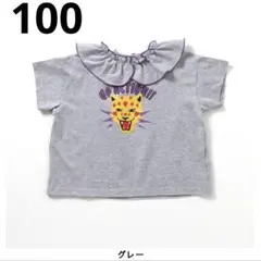 WEB限定　襟付きTシャツ 綿100% 女の子 BREEZE ブリーズ　未使用