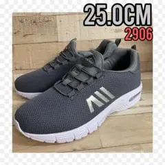 Item thumbnail for item 66a8d88c-492b-443d-948f-deef3b024628