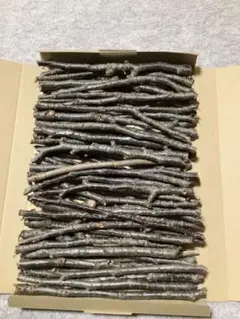 Item thumbnail for item baa18c4f-676c-42db-8f50-a1267cb33b17