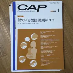 月刊 CAP 2024年 1月号