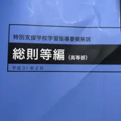 特別支援学校学習指導要領解説　総則等編(高等部)平成31年2月文部科学省