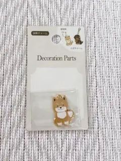 エポチャーム　わんちゃん　1個入り　①
