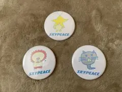 スカイピース Enjoy Summer 缶バッジ