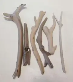 Item thumbnail for item 9f4d6bba-e848-4360-93a9-bcfdff7f5292