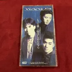 WANDS もっと強く抱きしめたなら