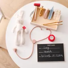 木製お医者さんセット おもちゃ (木箱入り)