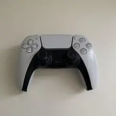 PS5 DualSense ワイヤレスコントローラー