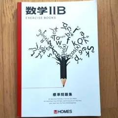 高校　数学2B　標準問題集　HOMES　塾