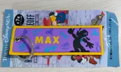 ディズニー　ディズニーシー　ドリームステイクフライト　フライトタグ　マックス
