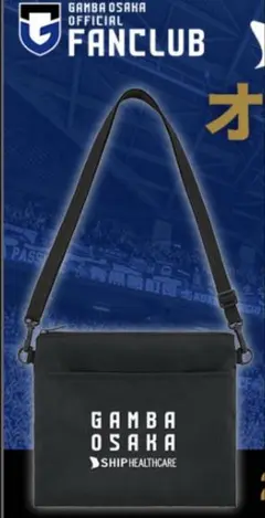 Item thumbnail for item 4f47ca91-3739-40a6-acd2-56a96f7ea749