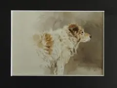 藤井 勉、イヴ、希少画集・額装画、新品高級額 額装付、状態良好 藤井 勉、イヴ、希少画集・額装画、新品高級額 額装付、状態良好