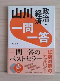 山川 政治・経済 一問一答