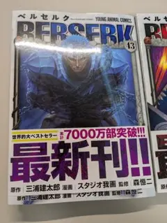 ベルセルク 41〜43巻　※バラ売り可