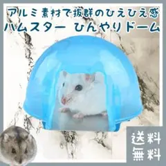 Item thumbnail for item a847cce3-34e6-4e3c-a0b4-21be048681e4