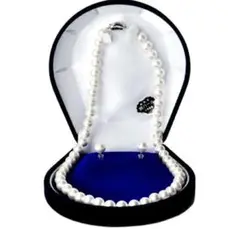 Item thumbnail for item 47df4b4f-b11b-4f80-b632-b7844b4869aa