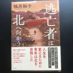 逃亡者は北へ向かう