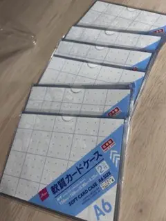 ソフトカードケース A6サイズ 2枚入り DAISO 事務用品