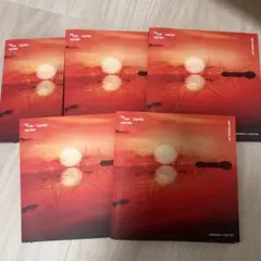 TXT TOGETHER Afterglow CD 5形態セット
