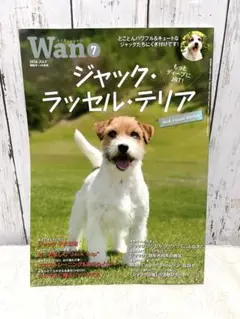 Wan 2014年7月号 ジャック・ラッセル・テリア