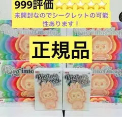 【正規品・未開封】Labubu Big into Energy 2箱　②