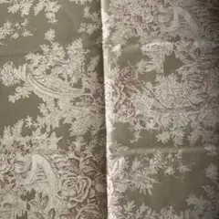 こうの早苗さん　生地①
