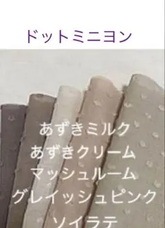 セール20角♪5枚♡ドットミニヨン check&stripe チェックアンド