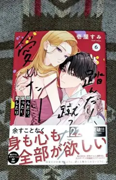 踏んだり、蹴ったり、愛したり 6 壱屋すみ 新品未読 シュリンク無し