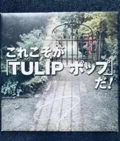 これこそが「TULIPポップ」だ! The Complete Single Amazon.co.jp: これこそが「TULIP ポップ」だ！The Complete