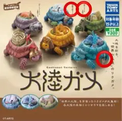 カプセルトイ 大陸ガメ