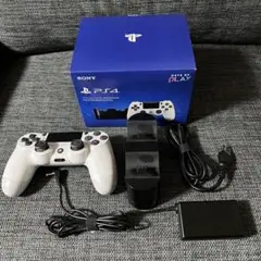 DUALSHOCK 4 Days of Play Special Pack