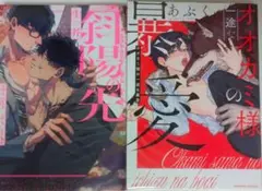 オオカミ様の一途な暴愛 斜陽の先