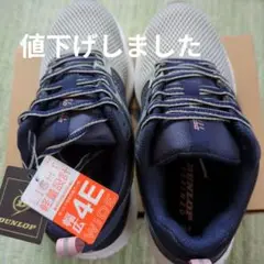 ダンロップリファインドM2501