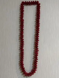 カーネーションのロングレイ