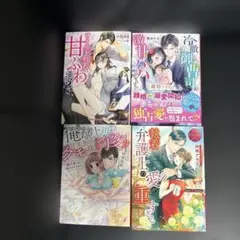 ベリーズ、エタニティ、ガブリエラ文庫セット