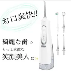 デンタルフロッサー 歯科用口腔洗浄器 コードレス ポータブル 充電式 IPX7