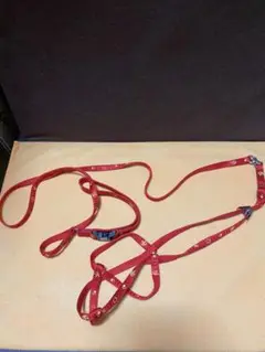 Item thumbnail for item d974feb0-5d03-46c6-bff7-a92ec3438dcd