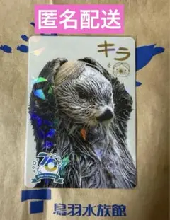 鳥羽水族館 コレクションカード ラッコ キラ