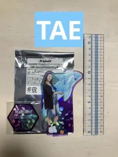 【新品】M Splash!! TAE ホログラムアクリルスタンド