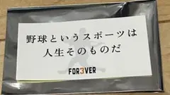 FOR3VER 長嶋茂雄　追悼試合　讀賣ジャイアンツ　長嶋語録ステッカー