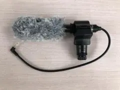 Item thumbnail for item 0e03c45c-1fa8-4aef-bb12-6b434ac79dbf