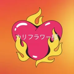 専用ページ