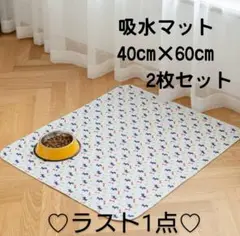 ペットマット✥トイレマット✥トイレシート✥犬 猫 40×60 2枚セット✥白