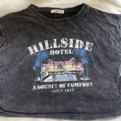 WEGO HILLSIDE HOTEL Tシャツ Fサイズ
