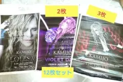 KAMIJO　Versailles　ショッパーセット