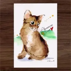 イラスト 原画 ポストカード 絵 【アビシニアン】46