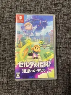 ゼルダの伝説 知恵のかりもの　Nintendo Switch