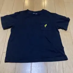 Item thumbnail for item 28bd01b1-61f4-469a-8379-b1df2aa4aa86